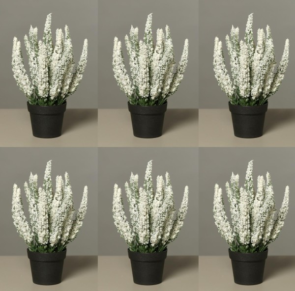6er Set künstliche Erika im Topf weiß H. 27cm DPI Kunstblumen Topfpflanzen  | Künstliche Pflanzen im Pflanzgefäß | Kunstpflanzen | Schöner Wohnen |  CreaFlor Home