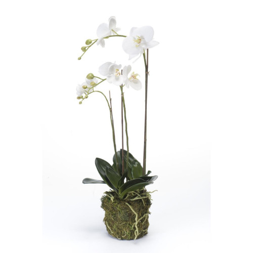 | Magnolien: CreaFlor Künstliche Kunstblumen CreaFlor Home Home mit Stil |